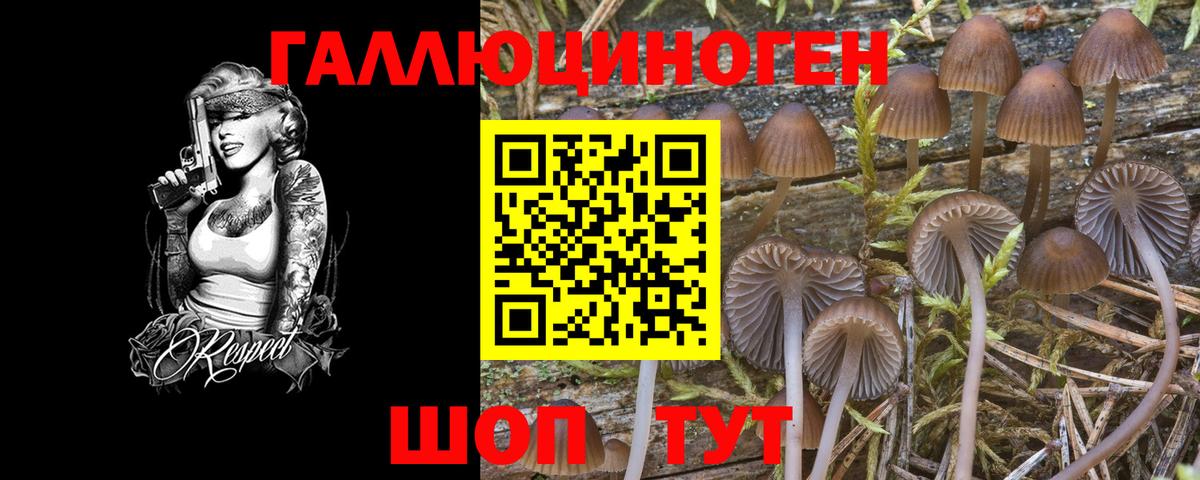 Октябрьский  Псилоцибиновые грибы Psilocybine cubensis  Вход с VPN 